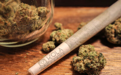Are you nervous to try Cannabis?