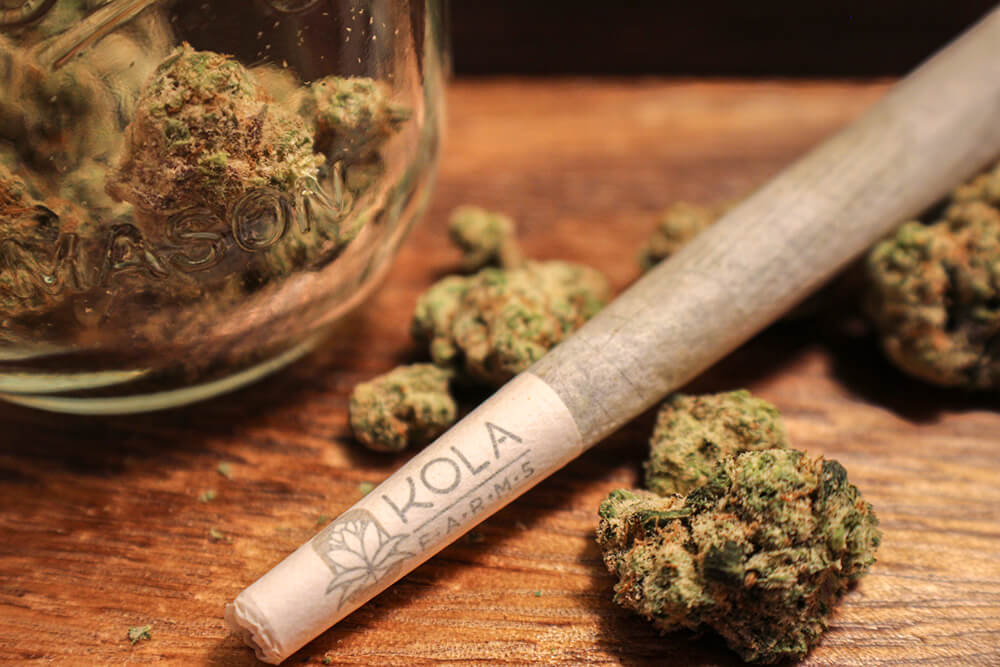 Are you nervous to try Cannabis?