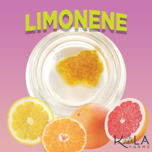Kola's Slurpee Syrup