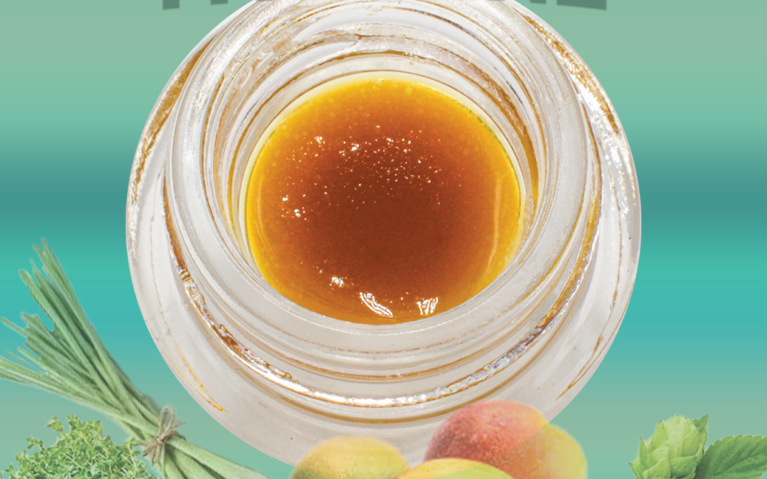 What are terpenes?